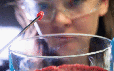 Mississippi Says “No Thanks” to Lab-Grown Meat: The Magnolia State Joins the Fight Against Test-Tube Burgers