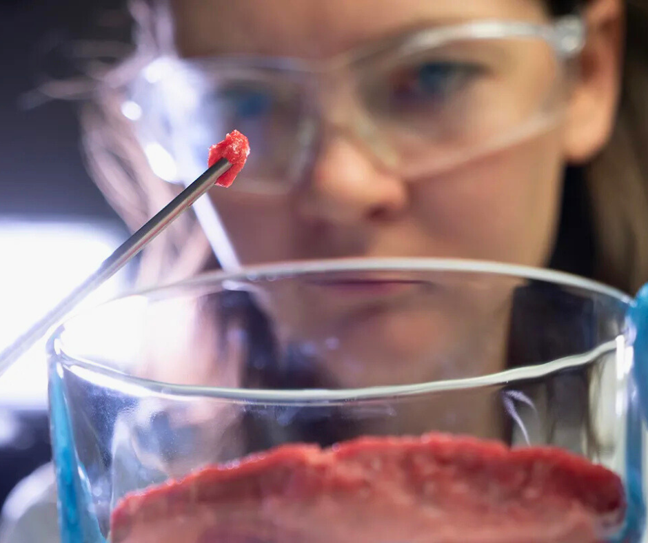 A focused scientist wearing safety goggles carefully examines a small red tissue specimen with forceps above a glass beaker during a laboratory experiment.